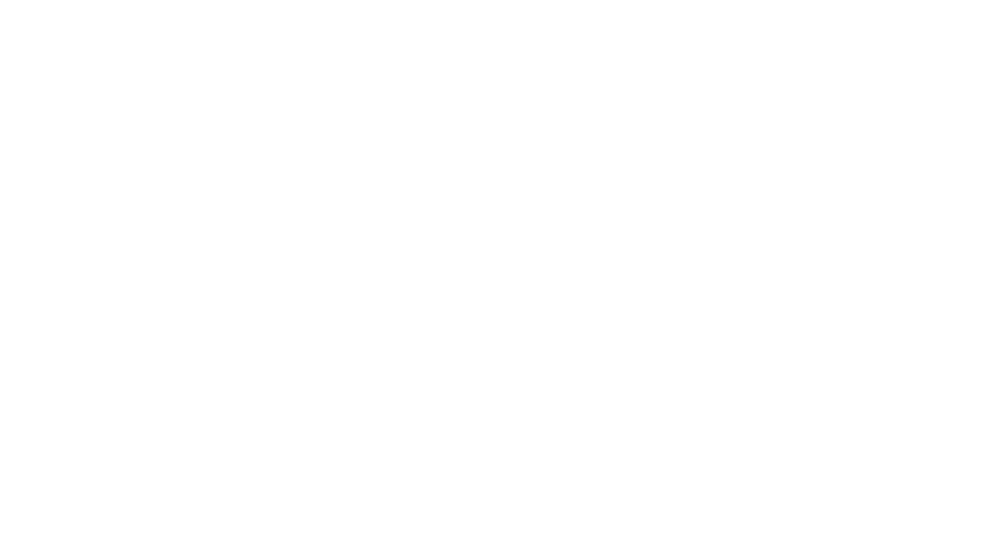 Anoka County